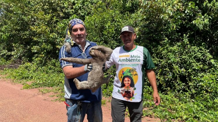 Ação ambiental: Prefeitura realiza soltura de animais silvestres em parceria com biólogo voluntário em Itacoatiara