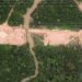 Trump acusa Brasil de destruir Amazônia para construir estrada antes da COP-30