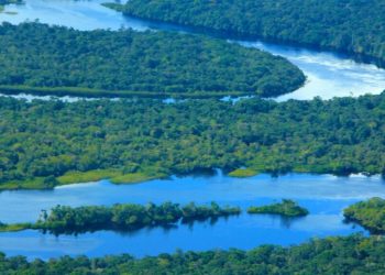 Amazonas registra menor número de focos de calor para novembro em quatro anos, aponta Ipaam