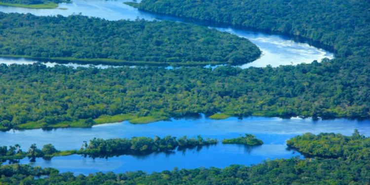 Amazonas registra menor número de focos de calor para novembro em quatro anos, aponta Ipaam