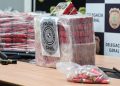 Polícia apreende 250 quilos de cocaína e armamentos em operação interestadual