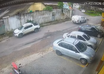 Viatura da PM atropela e mata dois cães no Novo Aleixo