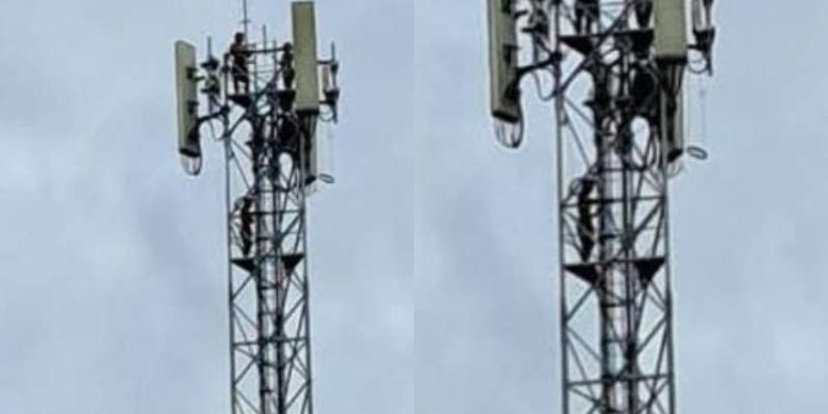 Perigo: crianças são flagradas brincando no topo de torre de telefonia em Maués