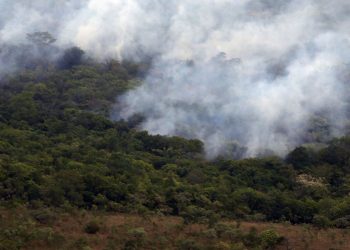 Brasil queimou mais de 185 milhões de hectares de biomas em 38 anos
