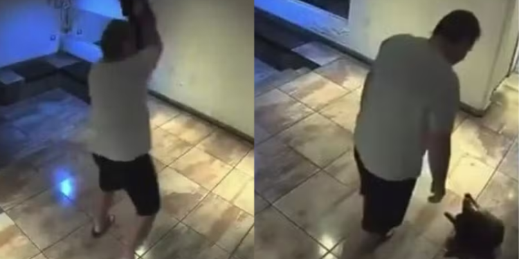 VÍDEO: homem arremessa violentamente o próprio cachorro contra o chão