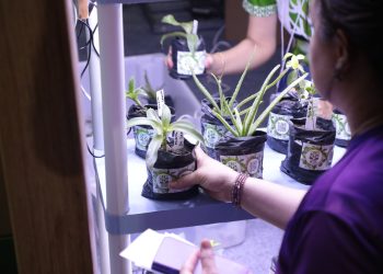 Inscrições para o Painter Ecoturismo e Profix-RH da Fapeam vão até quinta