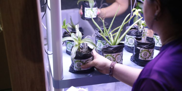 Inscrições para o Painter Ecoturismo e Profix-RH da Fapeam vão até quinta