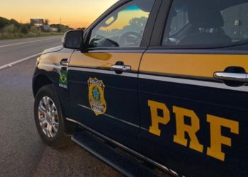 Homem é preso com skunk e meia tonelada de pescado ilegal no Porto da Ceasa