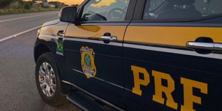 Homem é preso com skunk e meia tonelada de pescado ilegal no Porto da Ceasa