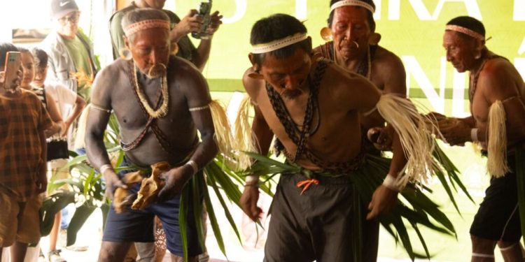 Dia dos Povos Originários: AM garante direitos e dignidade aos povos indígenas