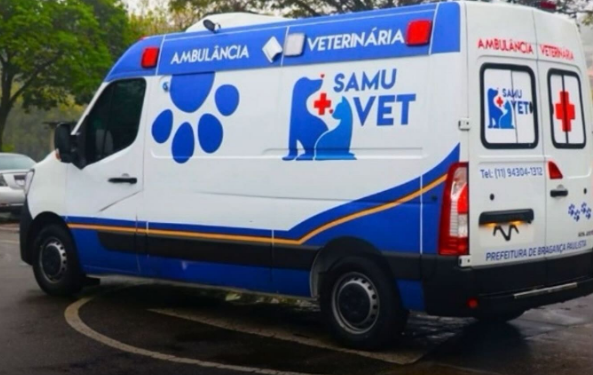 ‘SamuVet’ para cães e gatos começa a operar nesta segunda-feira em BH
