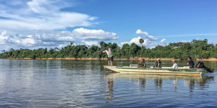 Renaturalização de rios é estratégia contra enchentes nas cidades
