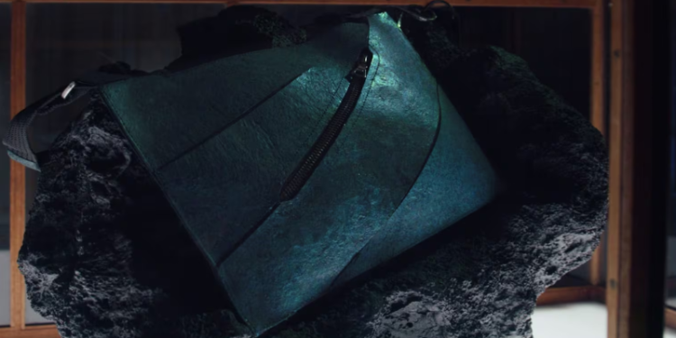 Bolsa de couro de dinossauro pode valer mais de R$ 3,4 milhões; entenda