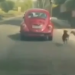 VÍDEO: cão corre atrás de Fusca após ser abandonado na Avenida Brasil