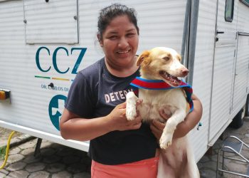 Centro de Zoonoses em Manaus abre vagas para castração de cães e gatos