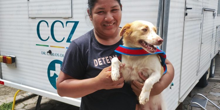 Centro de Zoonoses em Manaus abre vagas para castração de cães e gatos