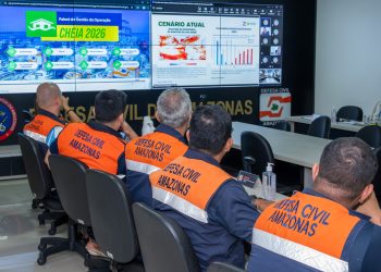 CHEIA NO AM: 15 municípios estão em situação de emergência