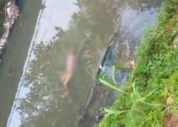 VÍDEO: moradores encontram corpo boiando em igarapé da Compensa