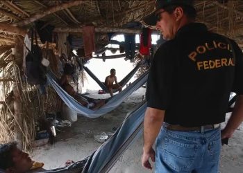 Amazonas entra na nova atualização da ‘Lista Suja’ do trabalho escravo