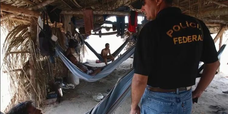 Amazonas entra na nova atualização da ‘Lista Suja’ do trabalho escravo