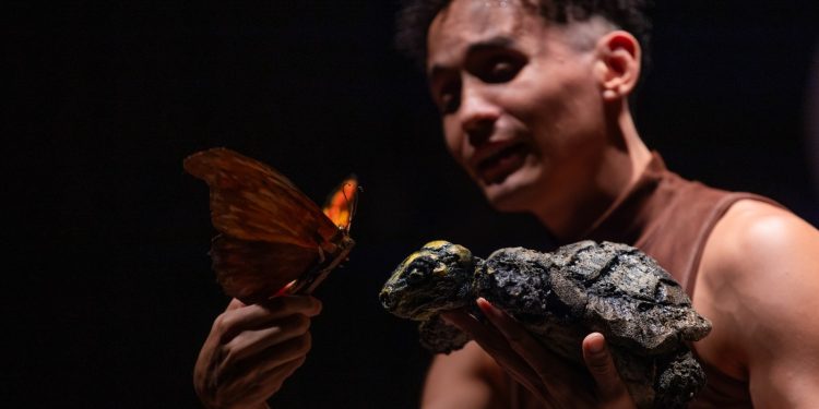 Espetáculo inspirado em pesquisa da Amazônia é exibido no Inpa