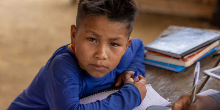 Amazonas terá maioria das novas escolas na TI Yanomami via Novo PAC