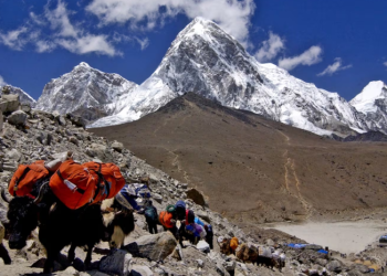 Como guias do Everest envenenavam alpinistas para aplicar fraude milionária
