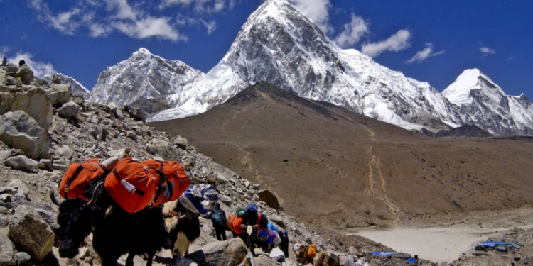 Como guias do Everest envenenavam alpinistas para aplicar fraude milionária