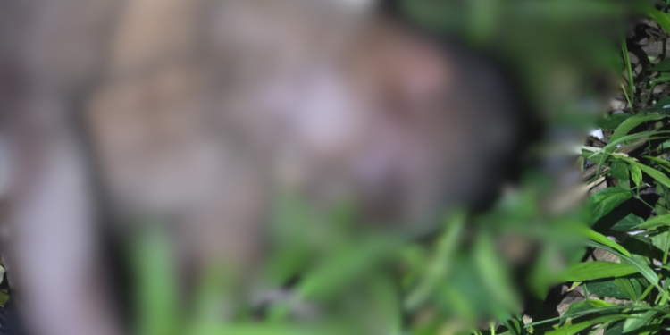 Com marcas de violência, homem é encontrado morto em área de Manaus