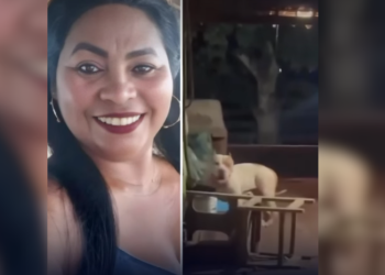 VÍDEO: mulher morre atacada pelo próprio cachorro da raça pitbull em casa