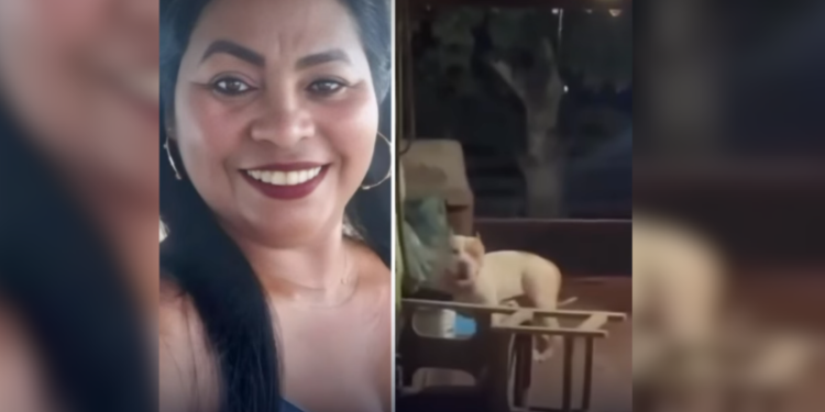 VÍDEO: mulher morre atacada pelo próprio cachorro da raça pitbull em casa