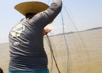 Subsídio à gasolina para pesca artesanal avança e pode reduzir custos no Norte