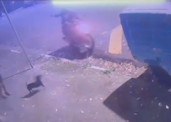 VÍDEO: PM de folga é atacado por dupla enquanto passeava com cachorro