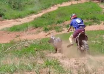 Brincadeira em trilha com amigo termina em tombo de motociclista; VEJA