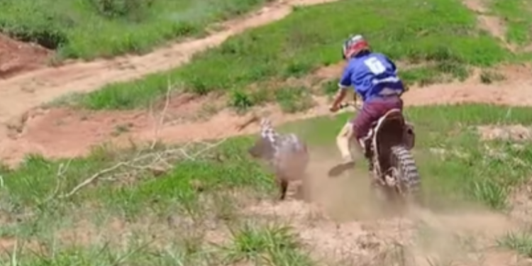 Brincadeira em trilha com amigo termina em tombo de motociclista; VEJA