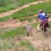 Brincadeira em trilha com amigo termina em tombo de motociclista; VEJA